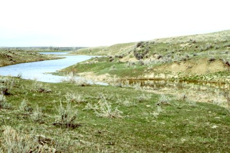 Riparian93.tif