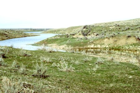 Riparian93.tif photo