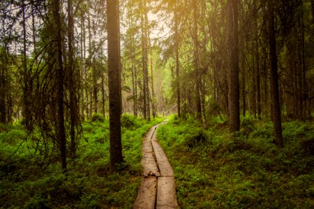 Evo Hiking Area, Hämeenlinna, Finland