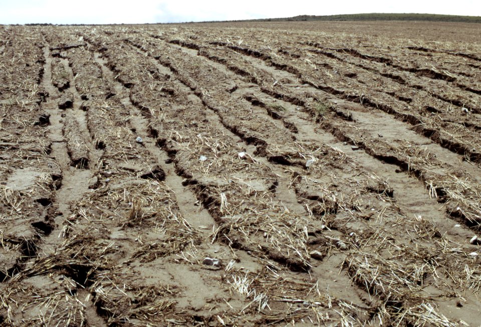 Erosion18.tif