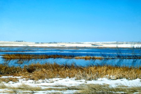 Wetlands19.tif