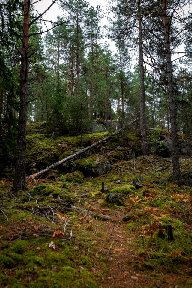 Mantereen linnavuori, Hämeenlinna, Finland