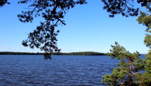 Vanajanniemi, Hattula