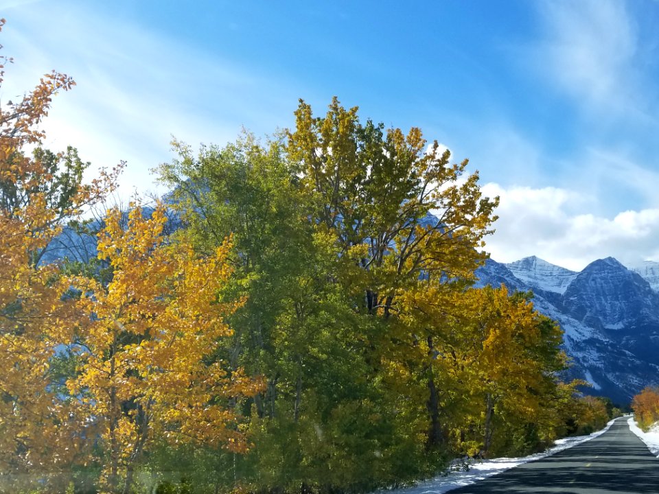 Colors along St. Mary Lake