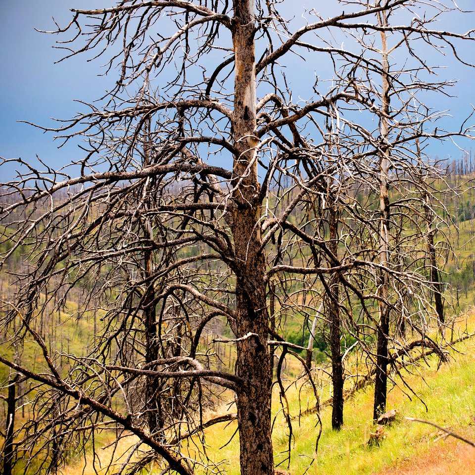 6479 NRCS projects.jpg