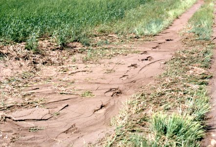 Erosion15.tif