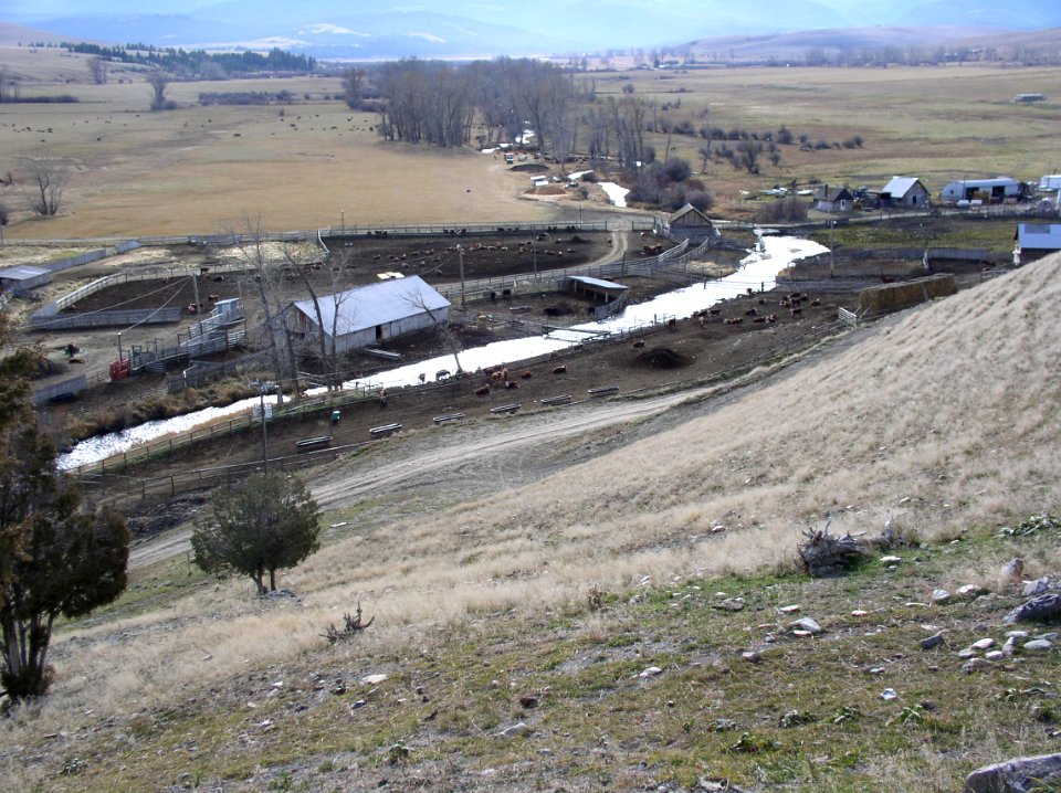 Manure Management04