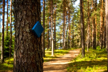 Iso-Melkutin, Loppi, Finland