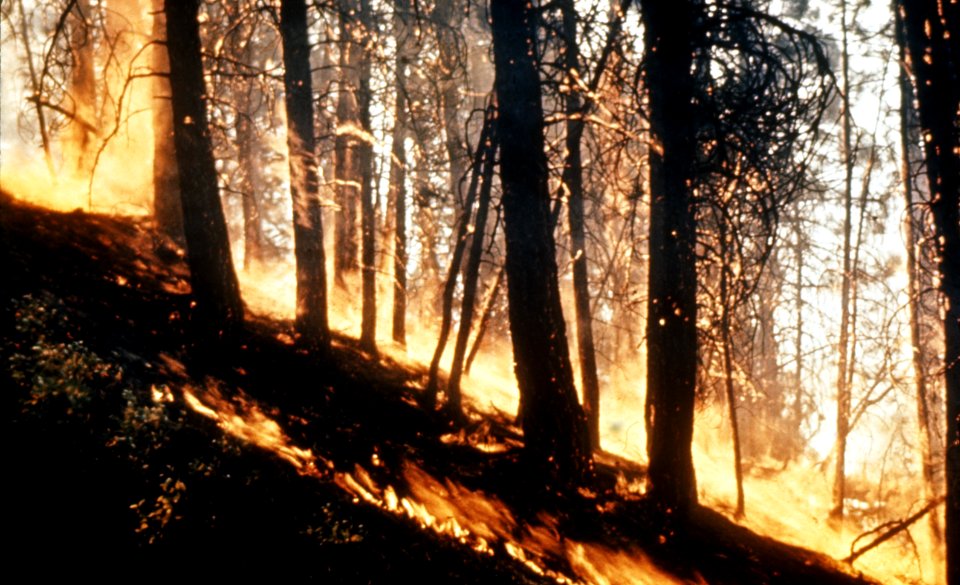 Fire07.tif