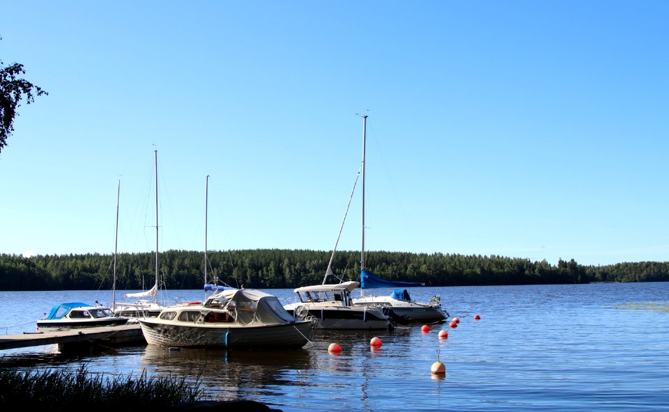 Vanajanniemi, Hattula