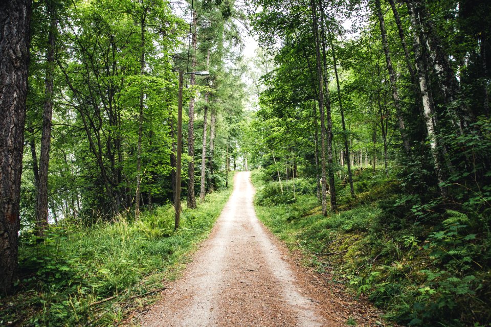 Aulanko, Hämeenlinna, Finland.