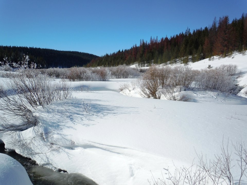 Snow006