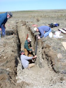 Soil Survey116.tif photo