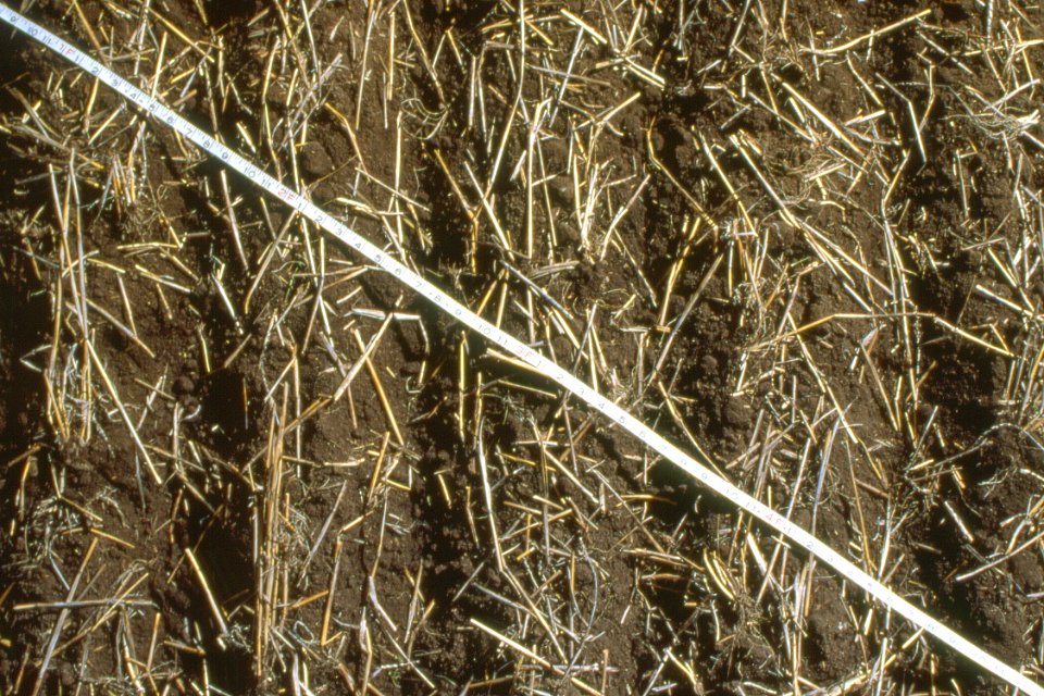 Crop Residue Management27.tif
