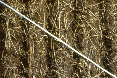 Crop Residue Management27.tif