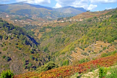 Rio Sermanha