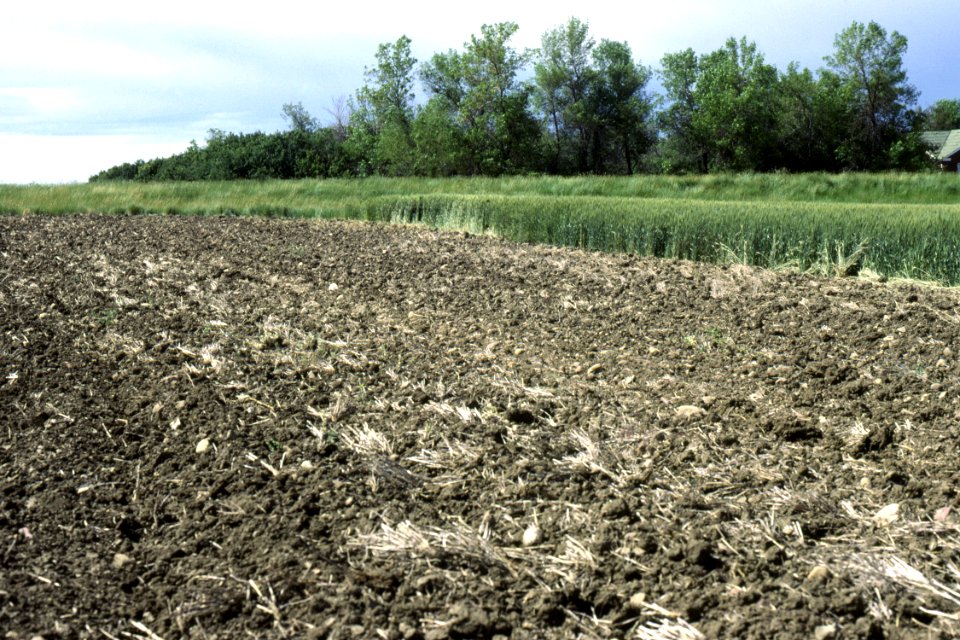 Crop Residue Management19.tif