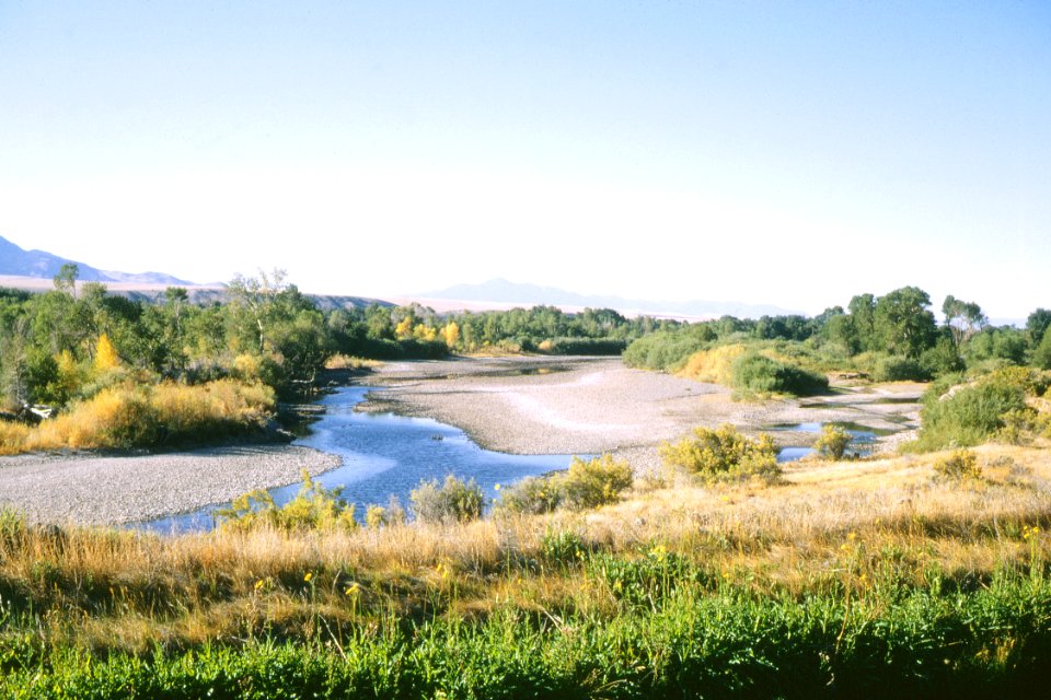 Riparian87.tif