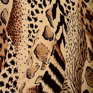 Texture cheetah zebra