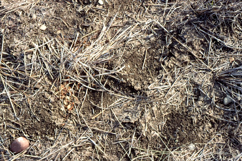 Crop Residue Management13.tif
