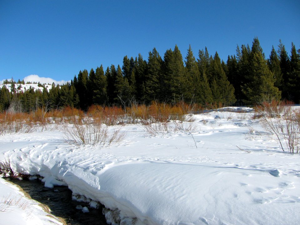 Snow Survey112.tif