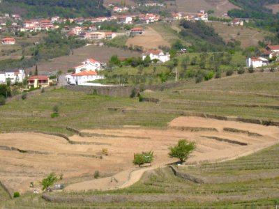 DSC05348