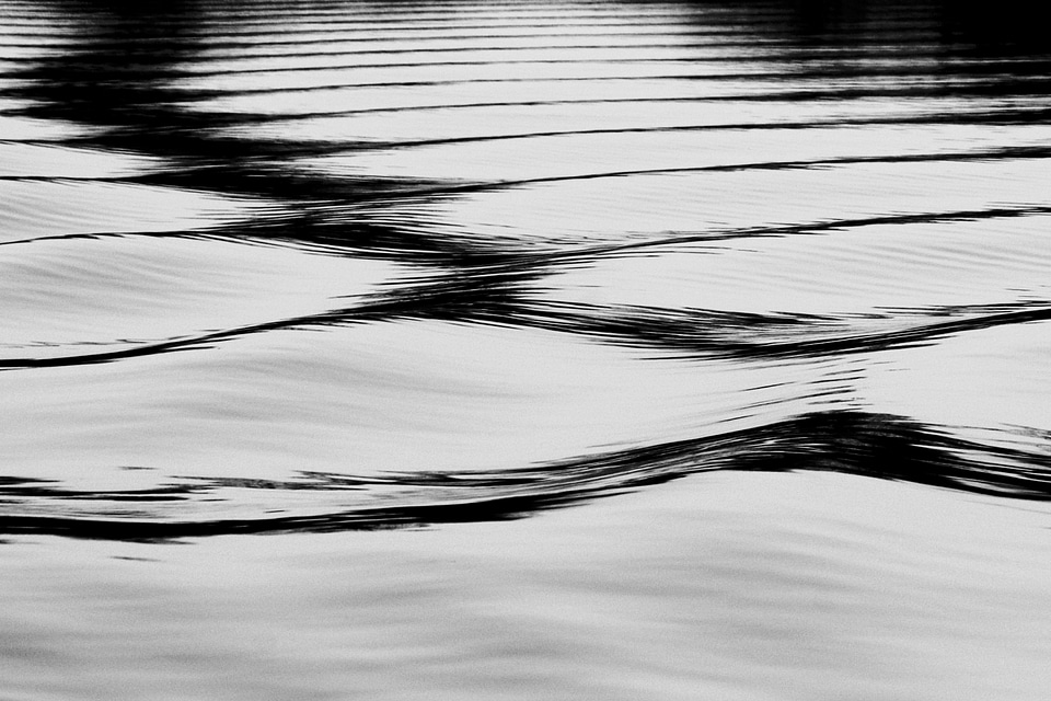 Afternoon light black and white