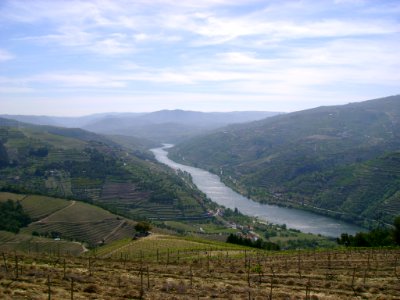 DSC05323