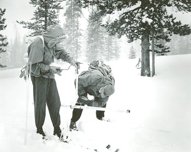 Snow Survey84.tif