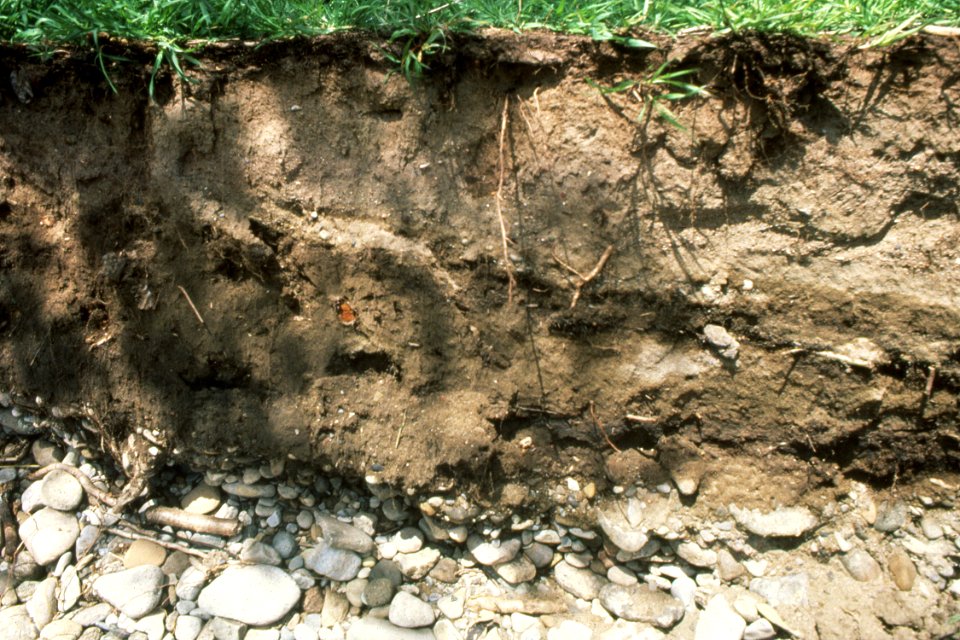 Soil Survey85.tif