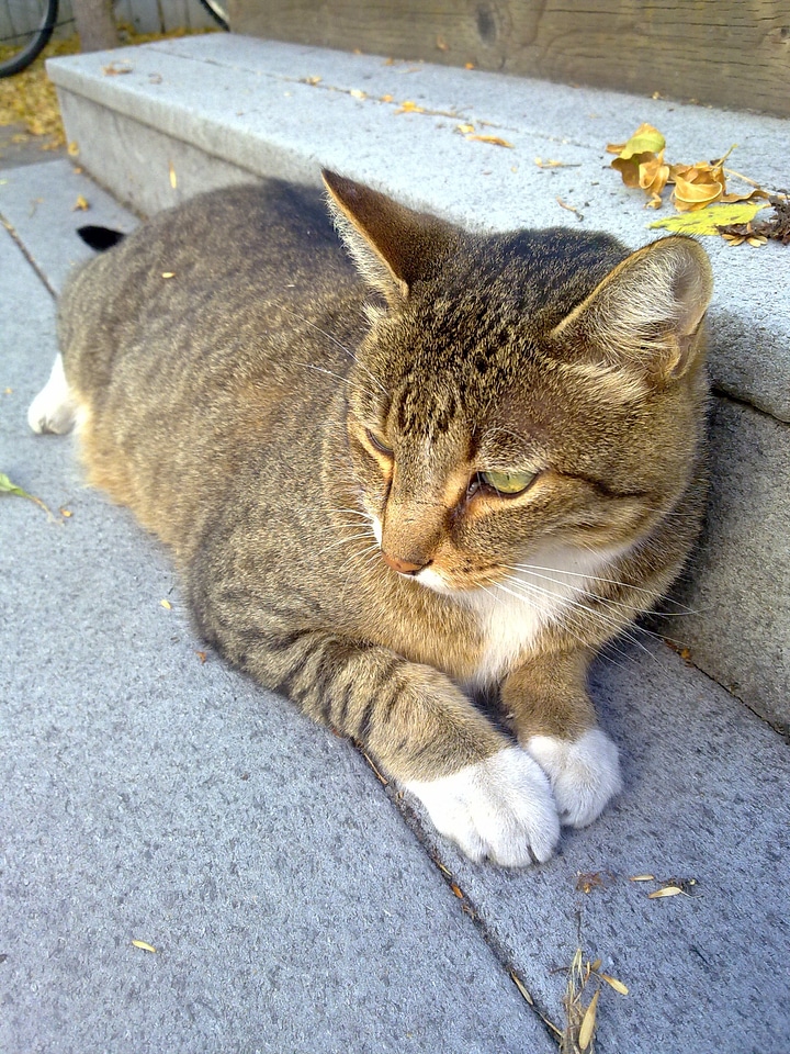 Friend lying down rest