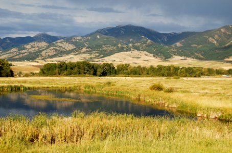 Wetlands49.JPG