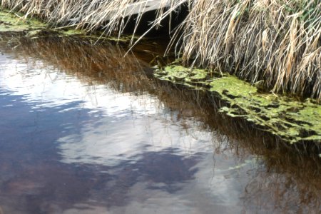 Water11.tif