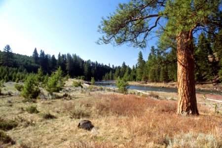 Riparian12.tif