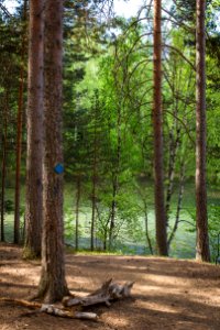 Iso-Melkutin, Loppi, Finland
