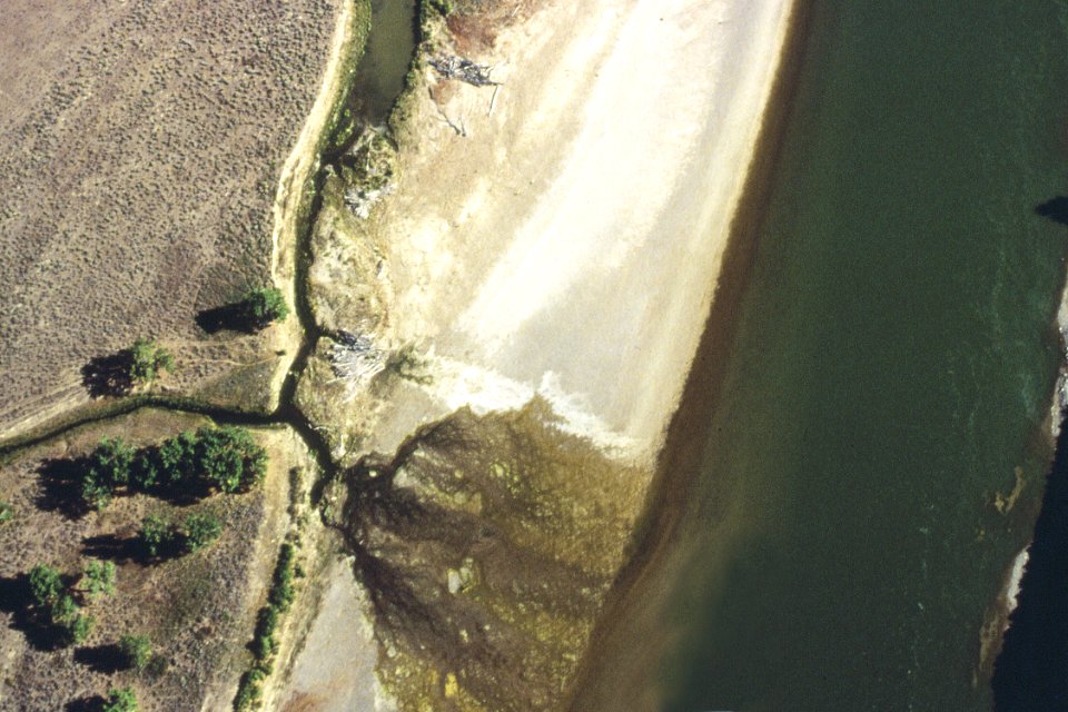 Riparian64.tif