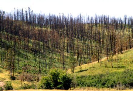 Fire17.tif