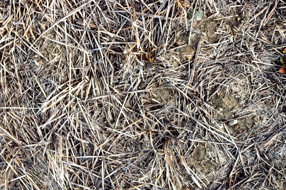 Crop Residue Management14.tif
