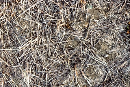 Crop Residue Management14.tif