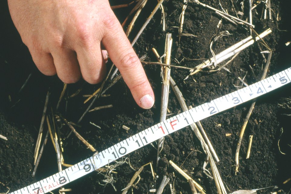 Crop Residue Management22.tif