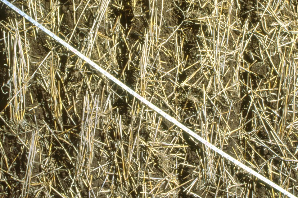 Crop Residue Management28.tif