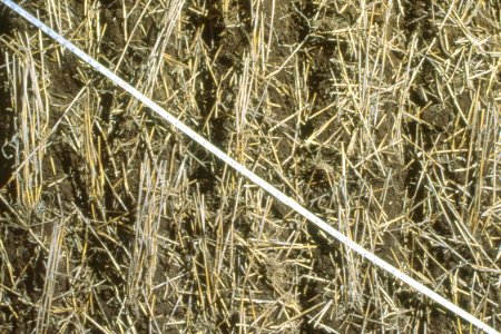Crop Residue Management28.tif