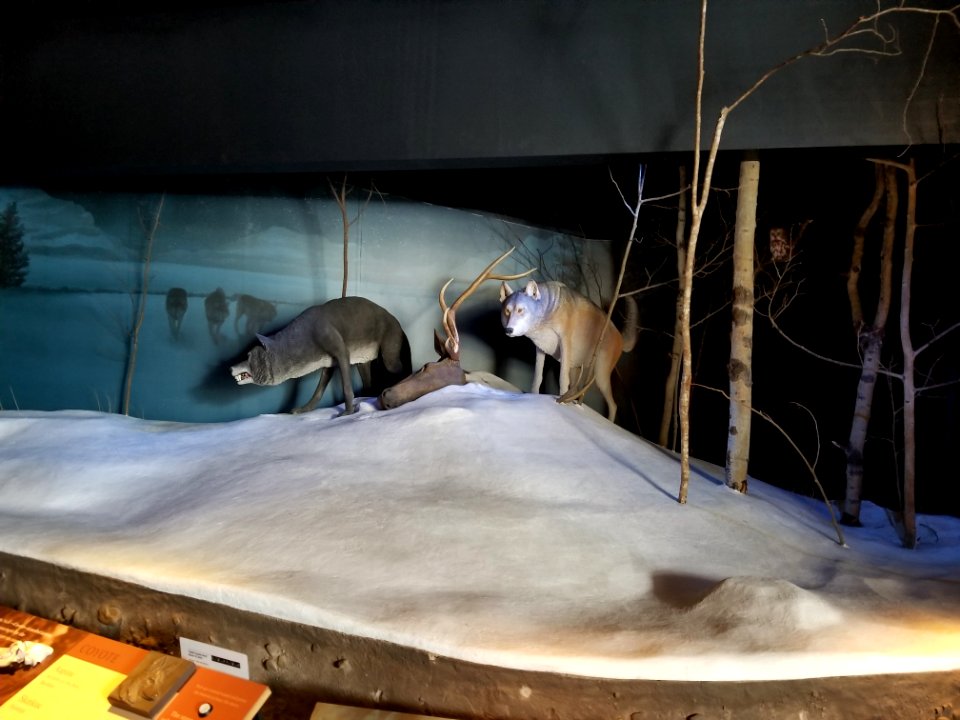 Exhibit at Saint Mary's Visitor Center