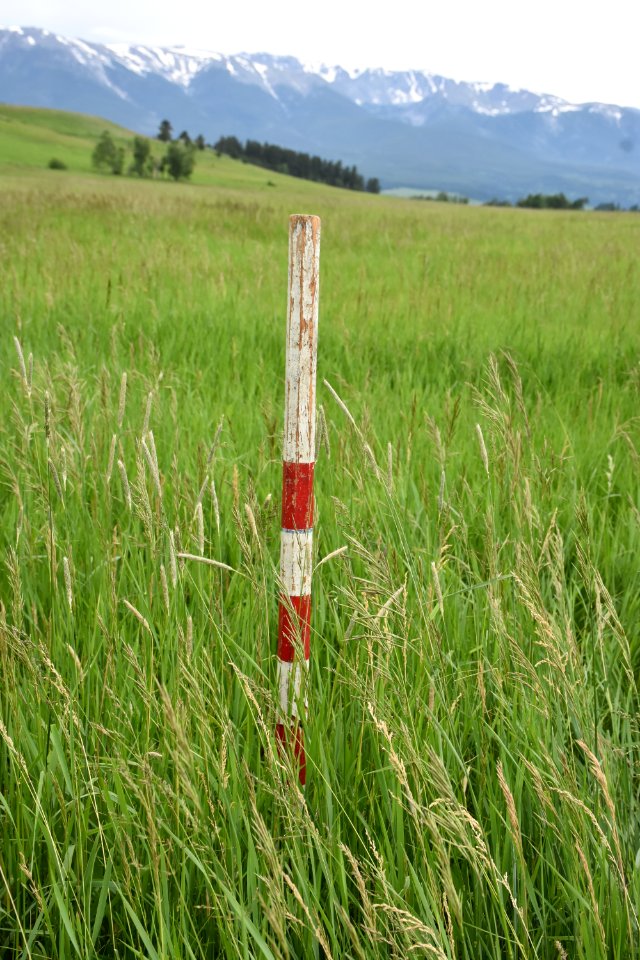 pasture30