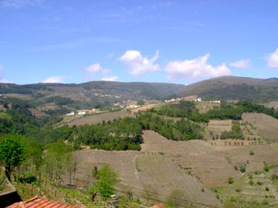 DSC05365