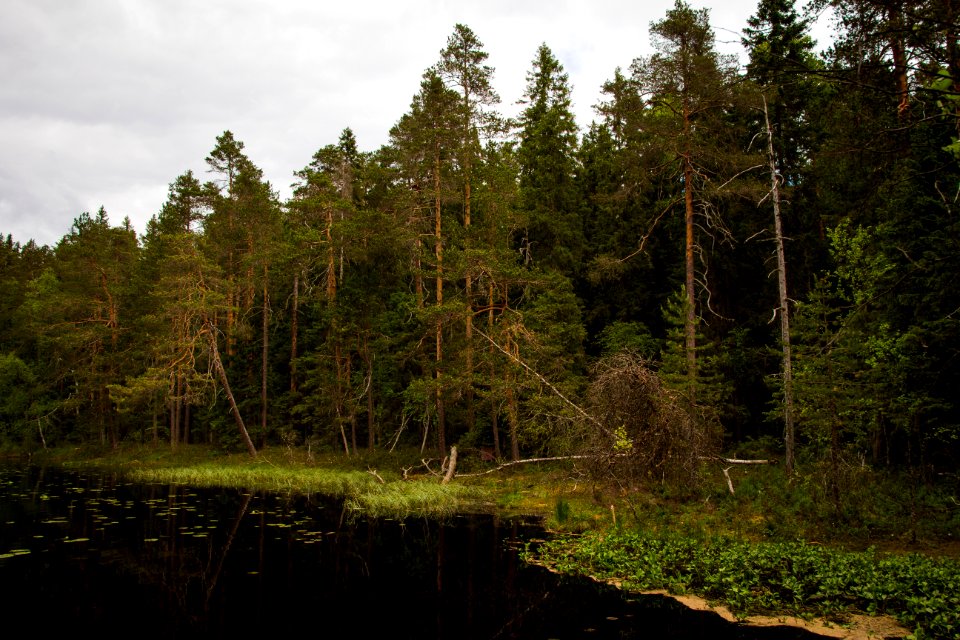 Evo Hiking Area, Hämeenlinna, Finland