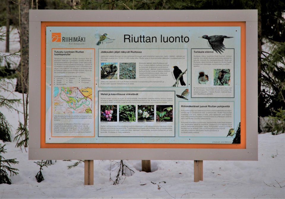 Riihimäen Riutta