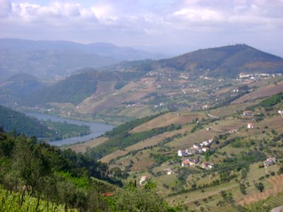 DSC05346