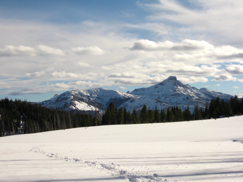 Snow022.jpg