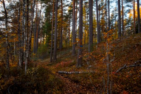Iso-Melkutin, Loppi, Finland.